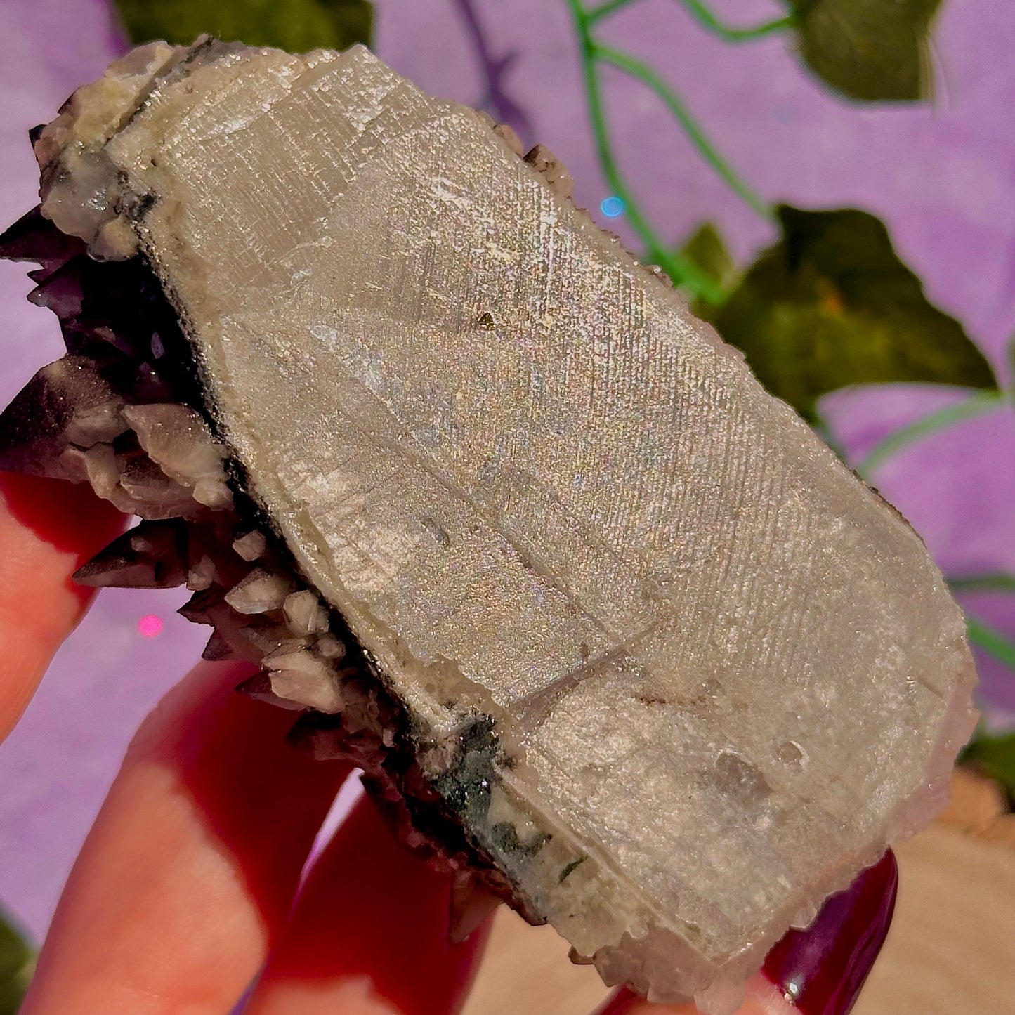 tigers tooth / dogs tooth calcite cluster specimen