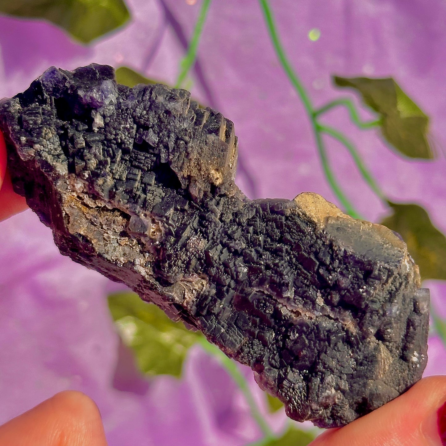 Spécimen de grappe cubique de fluorine rose noire UV