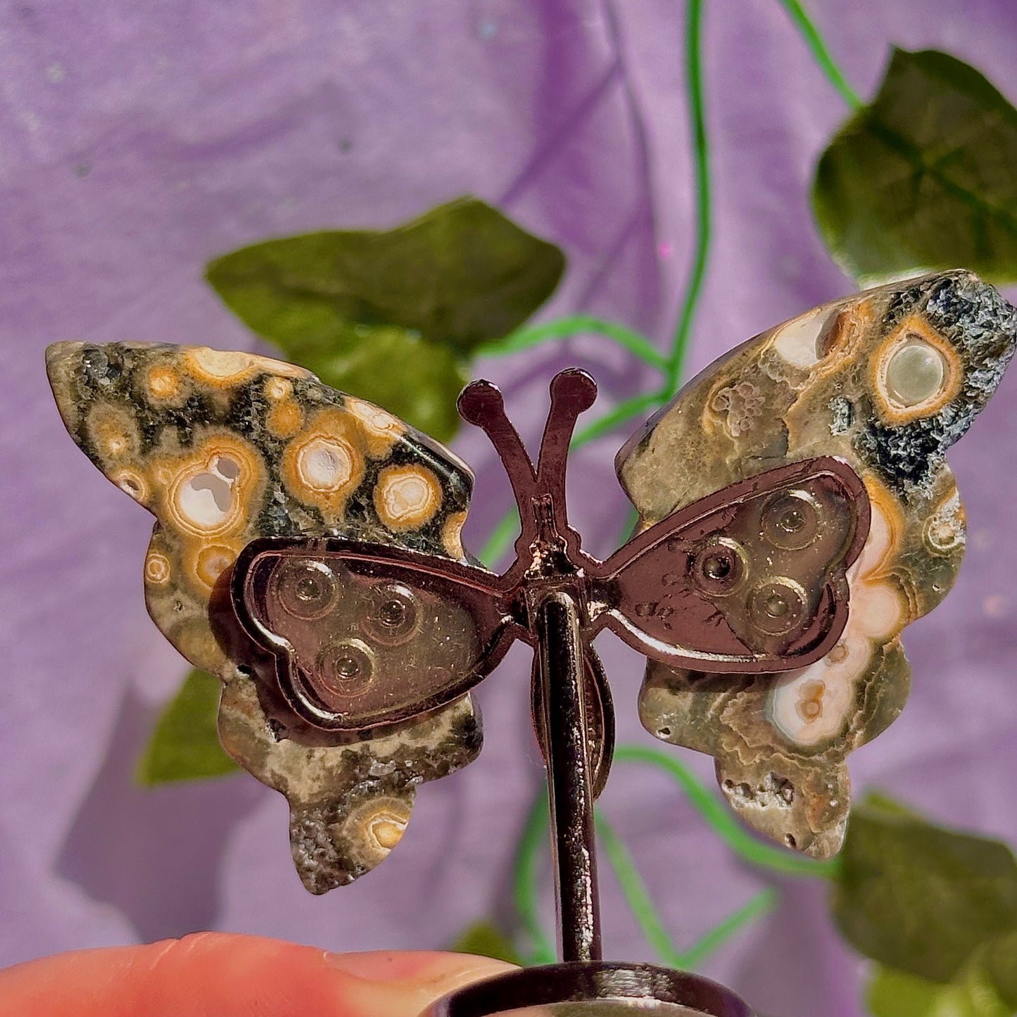 sea jasper butterflies on stand & dragon fly carving ~ choose your own