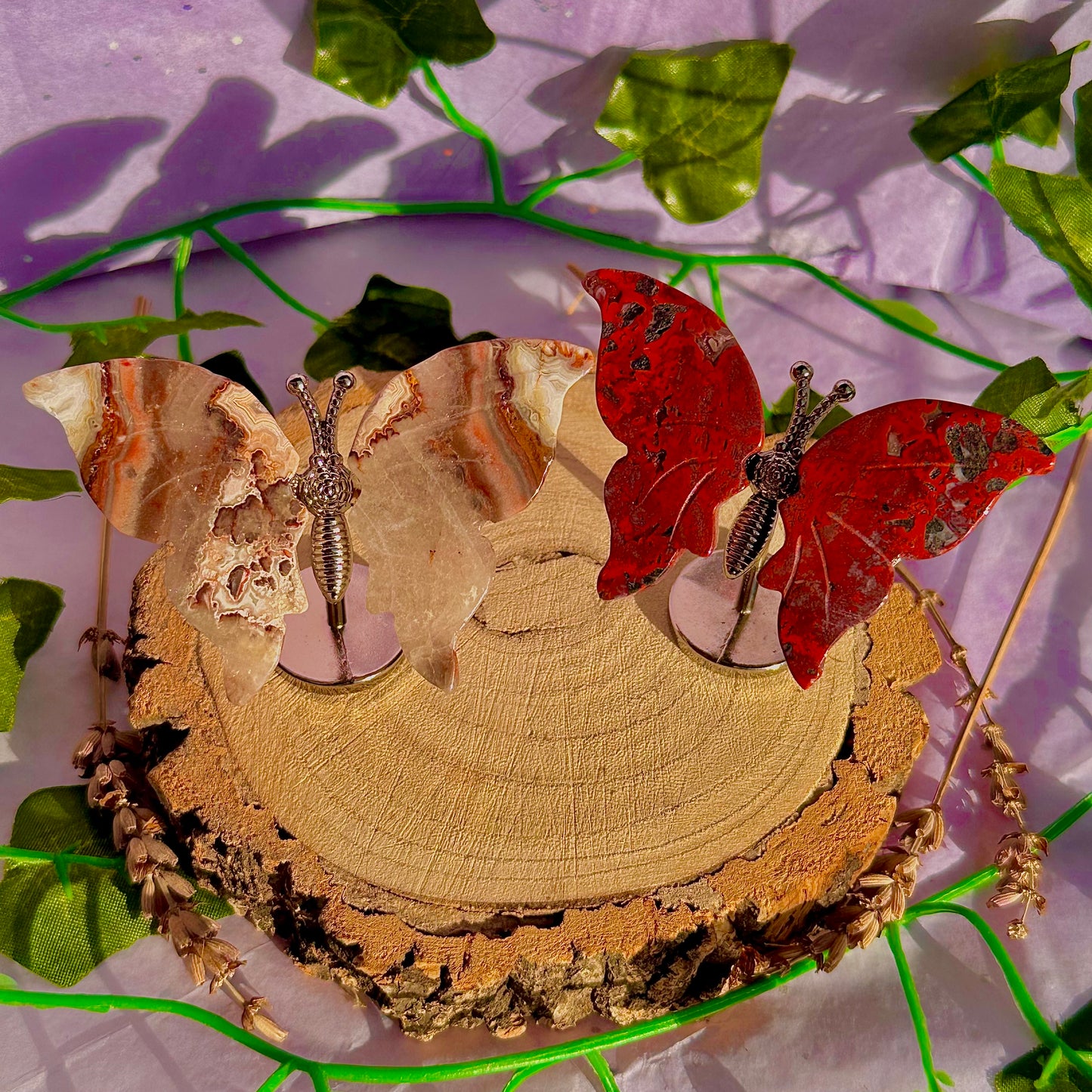 small butterfly wings on stand A ~ choose your own