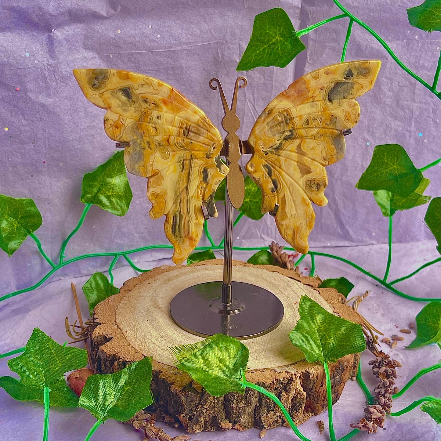 crazy lace agate butterfly wings on stand
