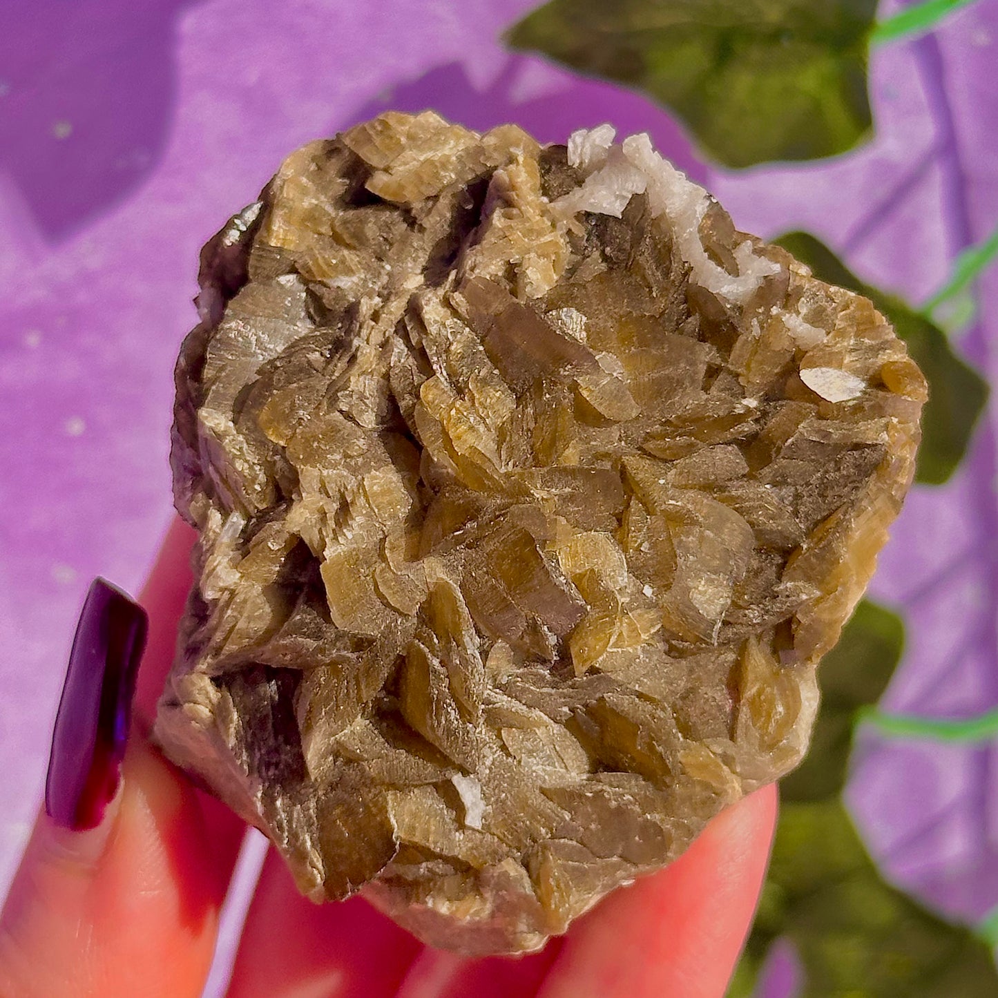 bladed siderite dragon scale cluster specimen
