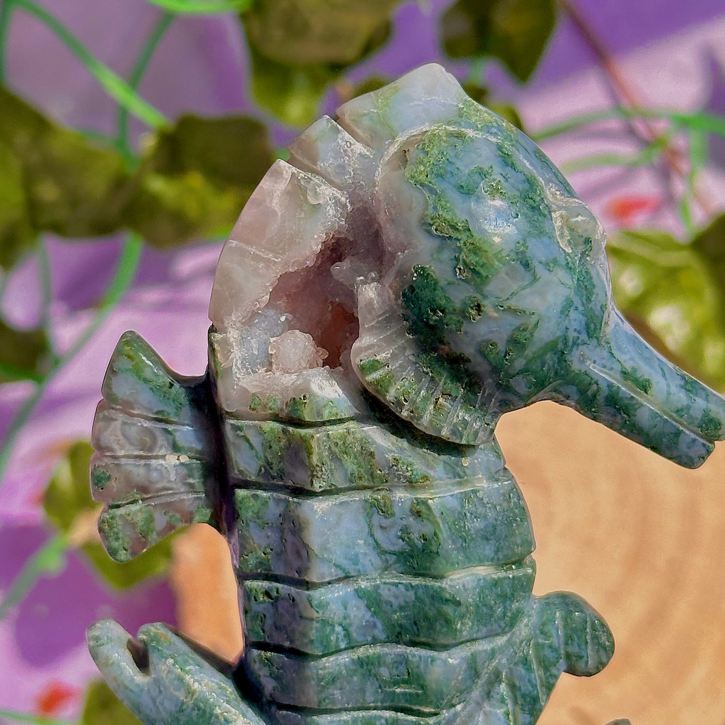 moss agate sea horse carving ~ self standing