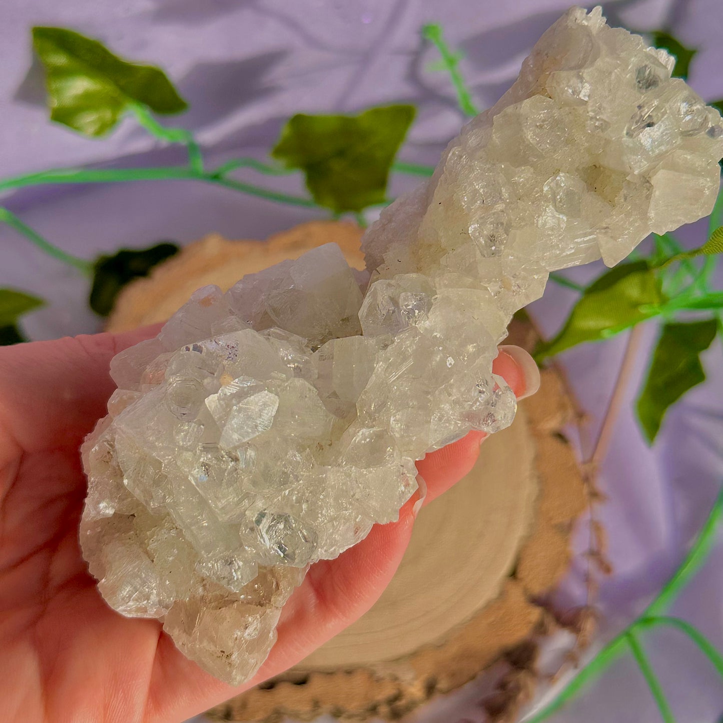 apophyllite specimen cluster