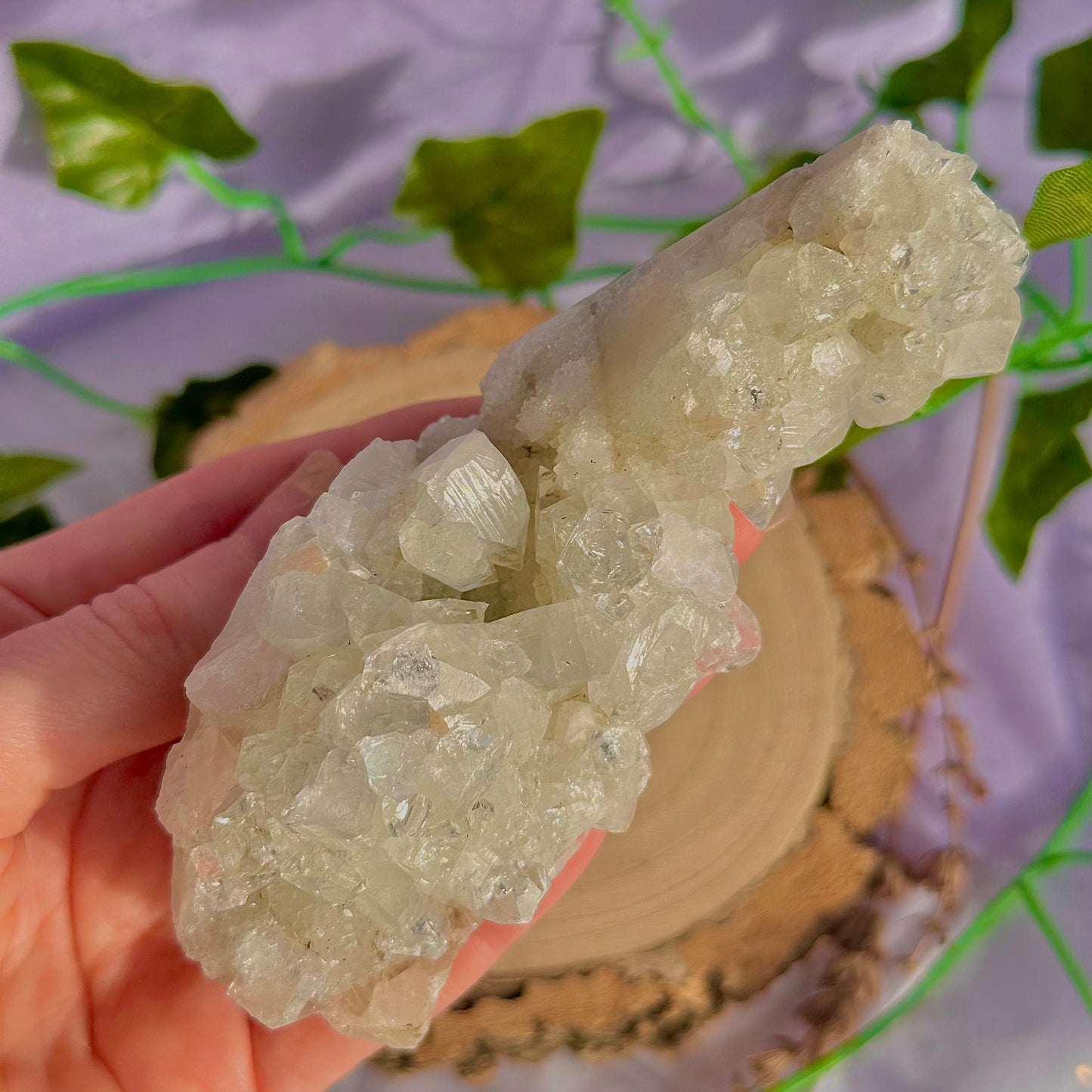 apophyllite specimen cluster