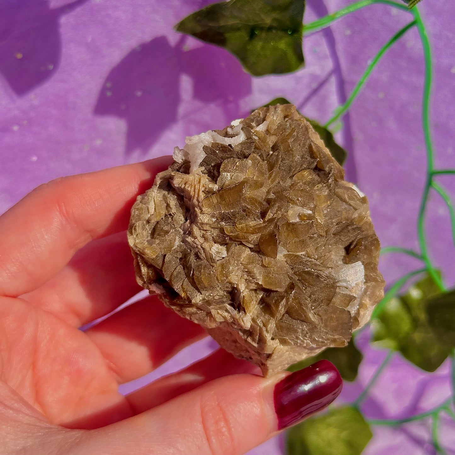 bladed siderite dragon scale cluster specimen