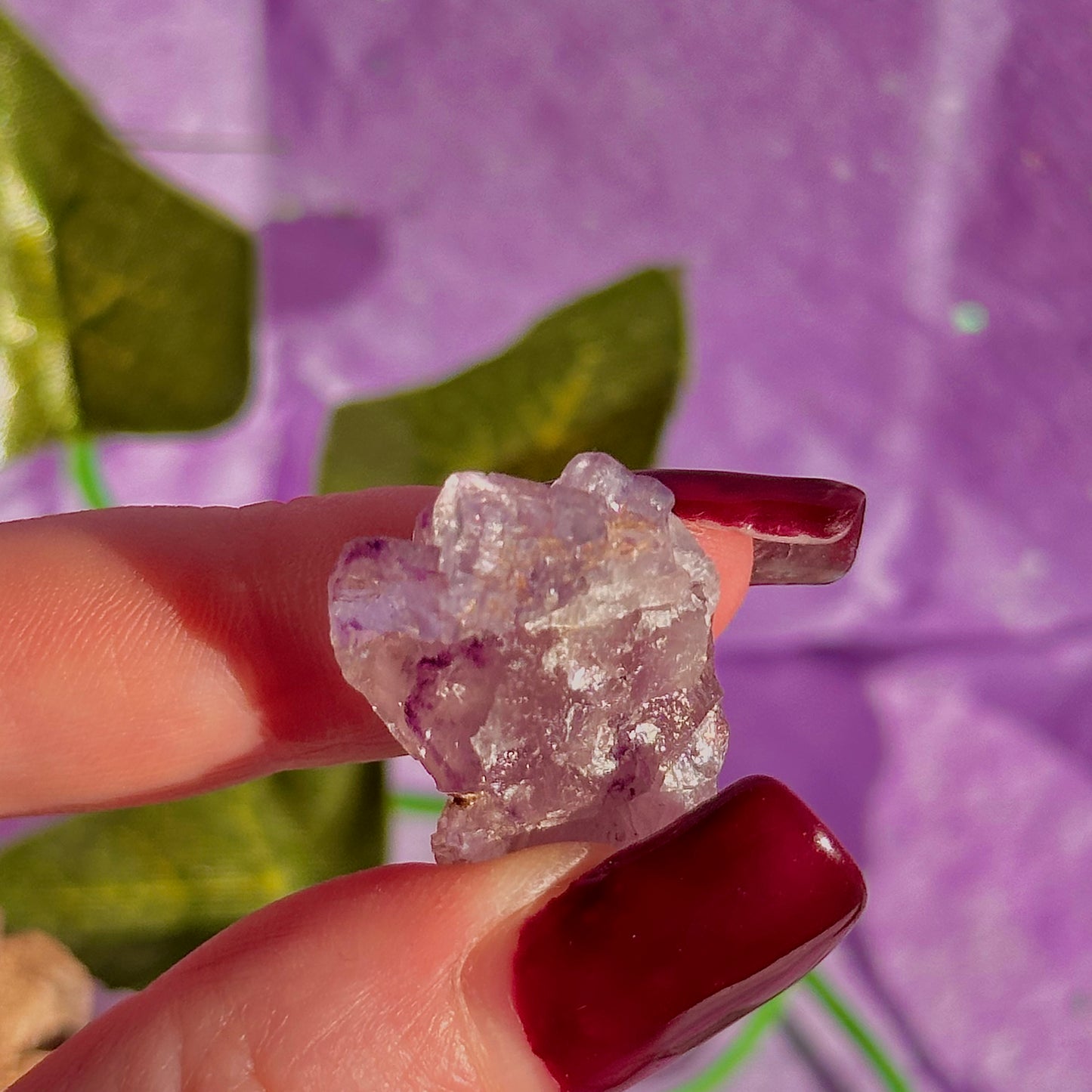 stalactitic UV cubic fluorite cluster specimen ~ choose your own