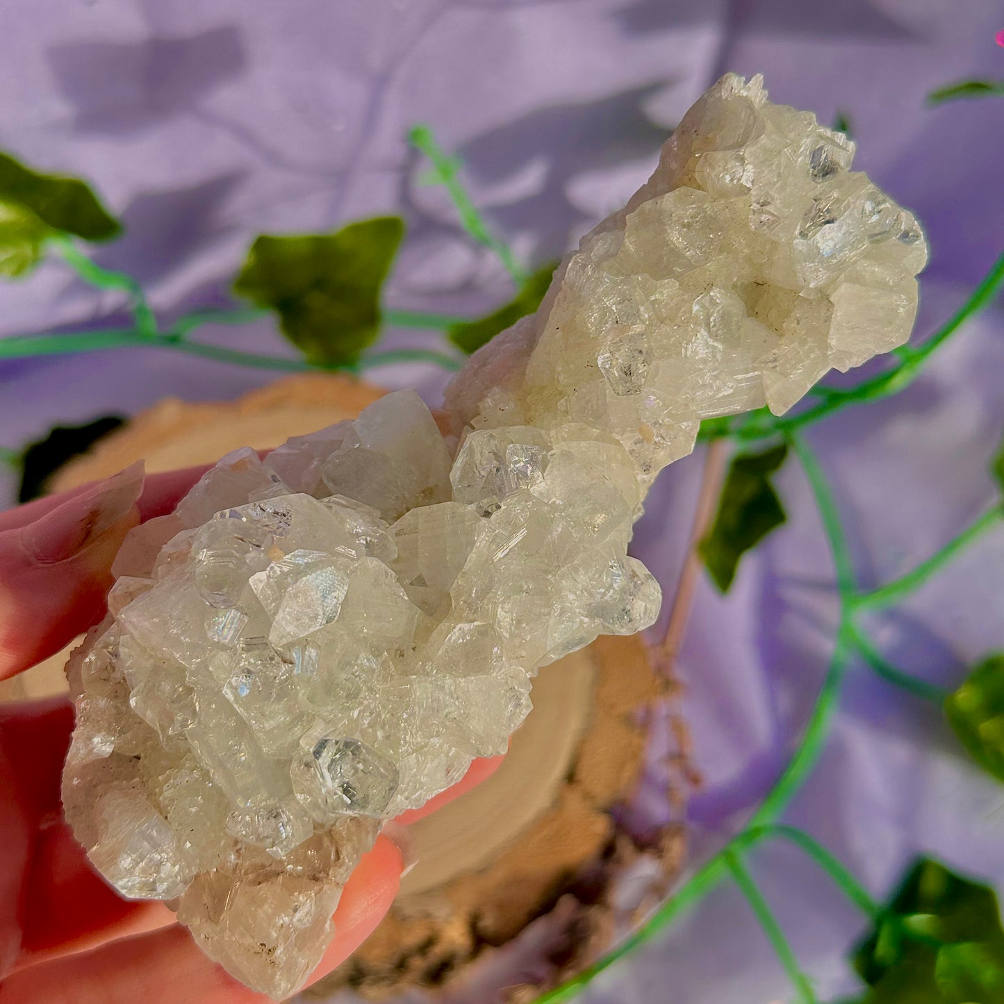 apophyllite specimen cluster