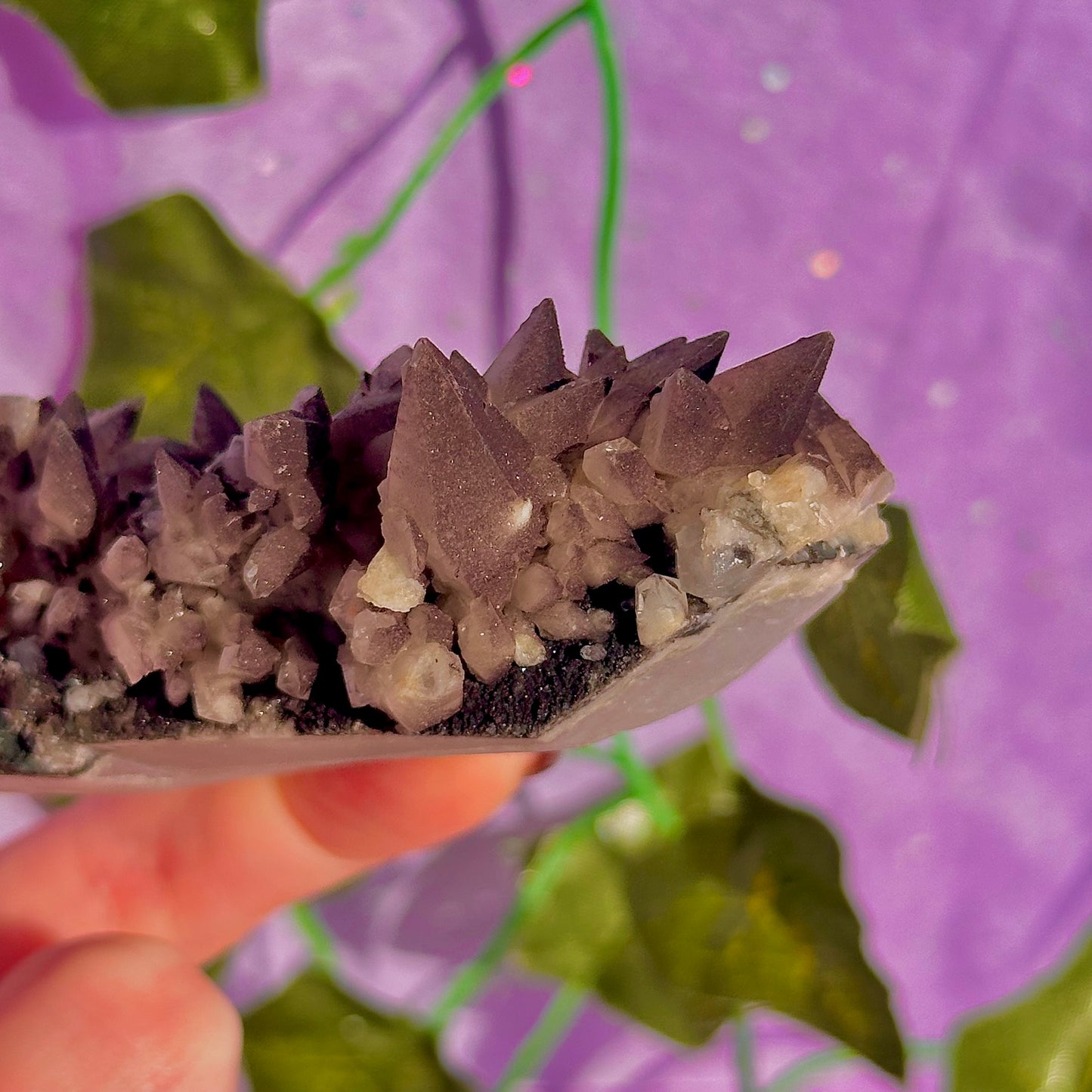 tigers tooth / dogs tooth calcite cluster specimen