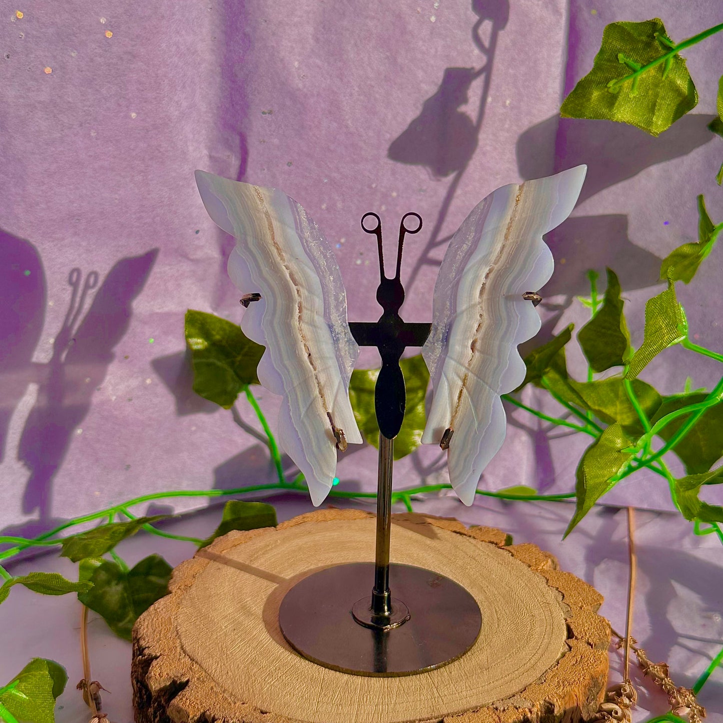 blue lace agate butterfly wings on stand A
