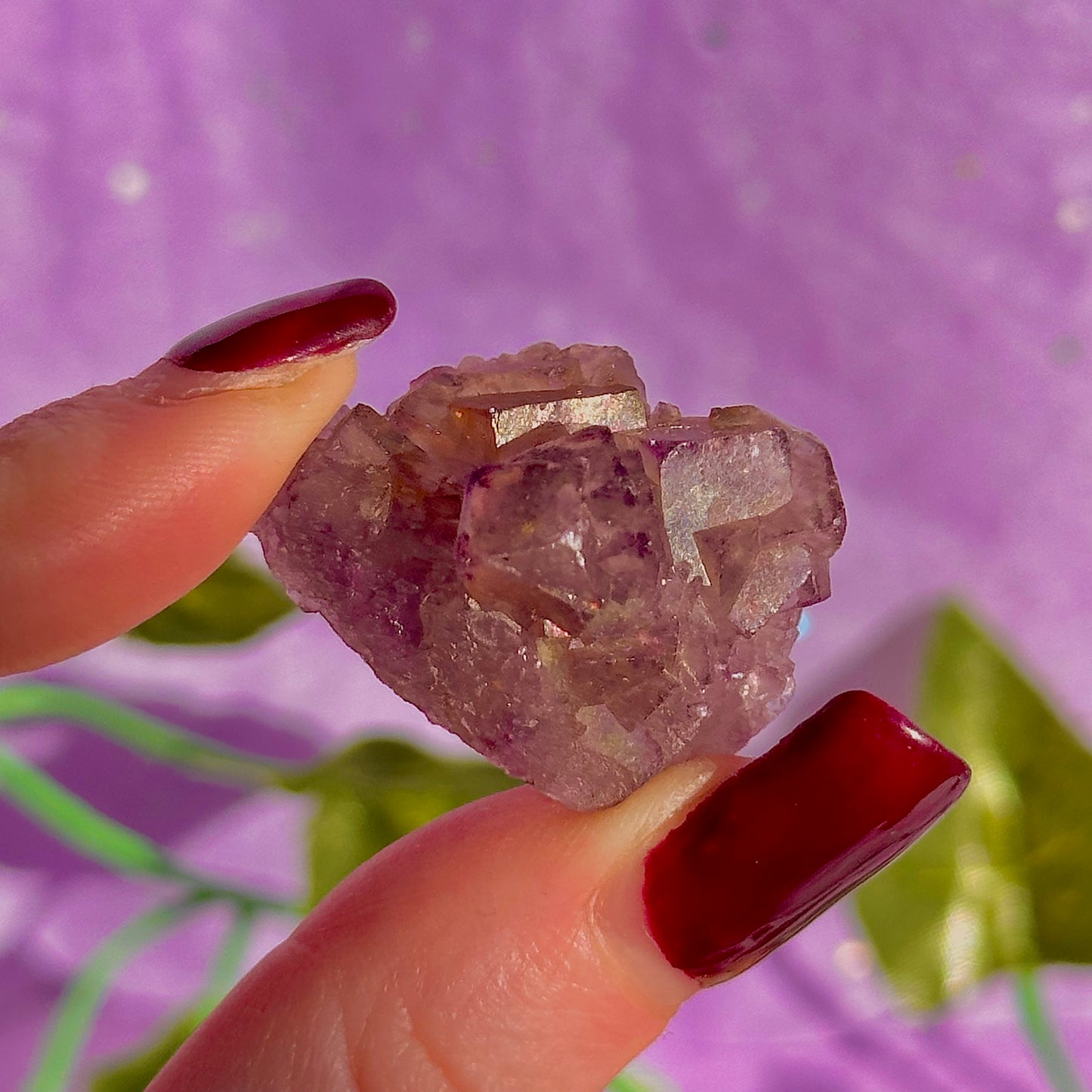 stalactitic UV cubic fluorite cluster specimen ~ choose your own