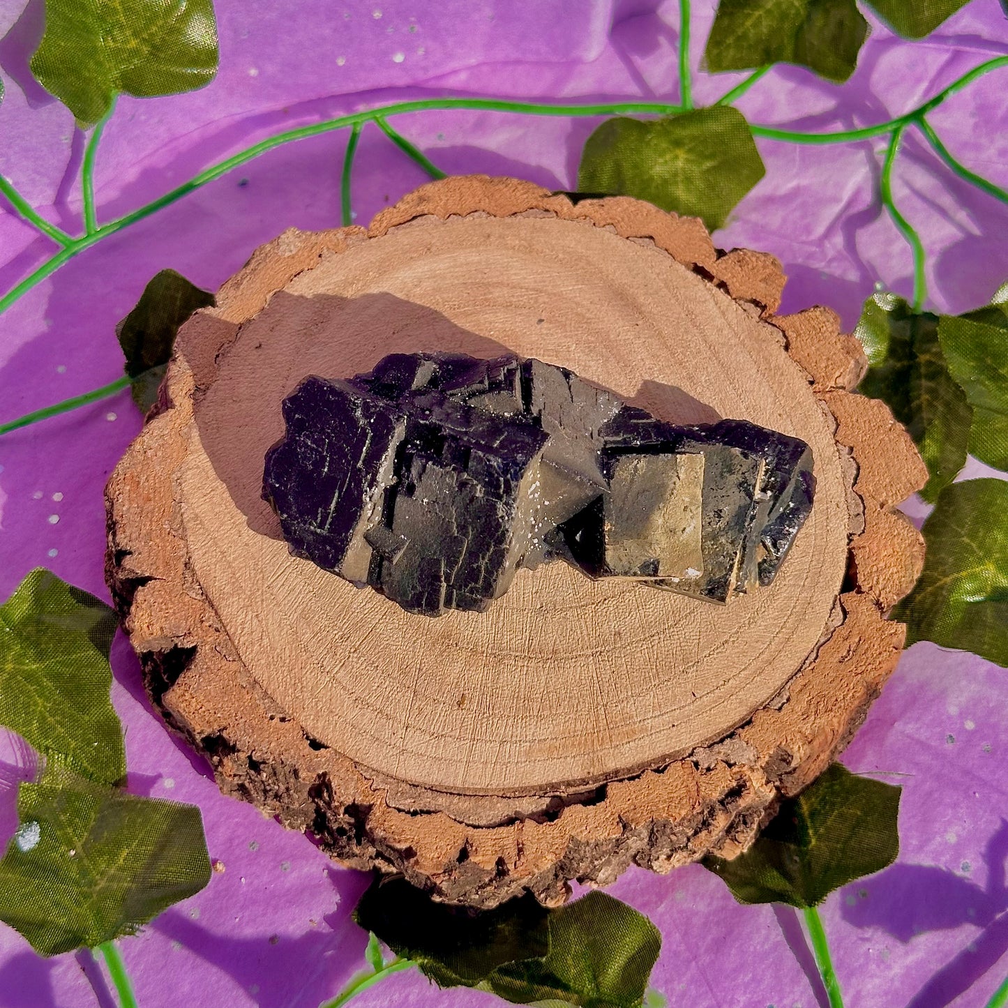 Spécimen de grappe cubique de fluorine rose noire UV