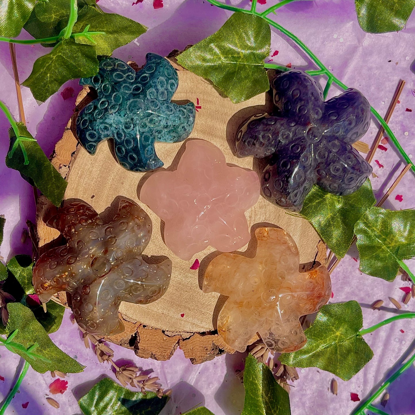 mixed starfish carvings ~ choose your own