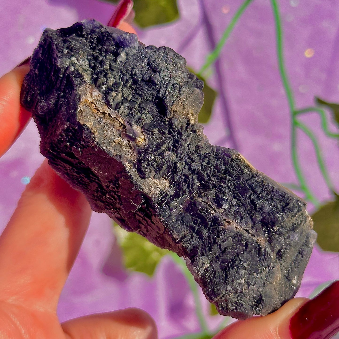Spécimen de grappe cubique de fluorine rose noire UV