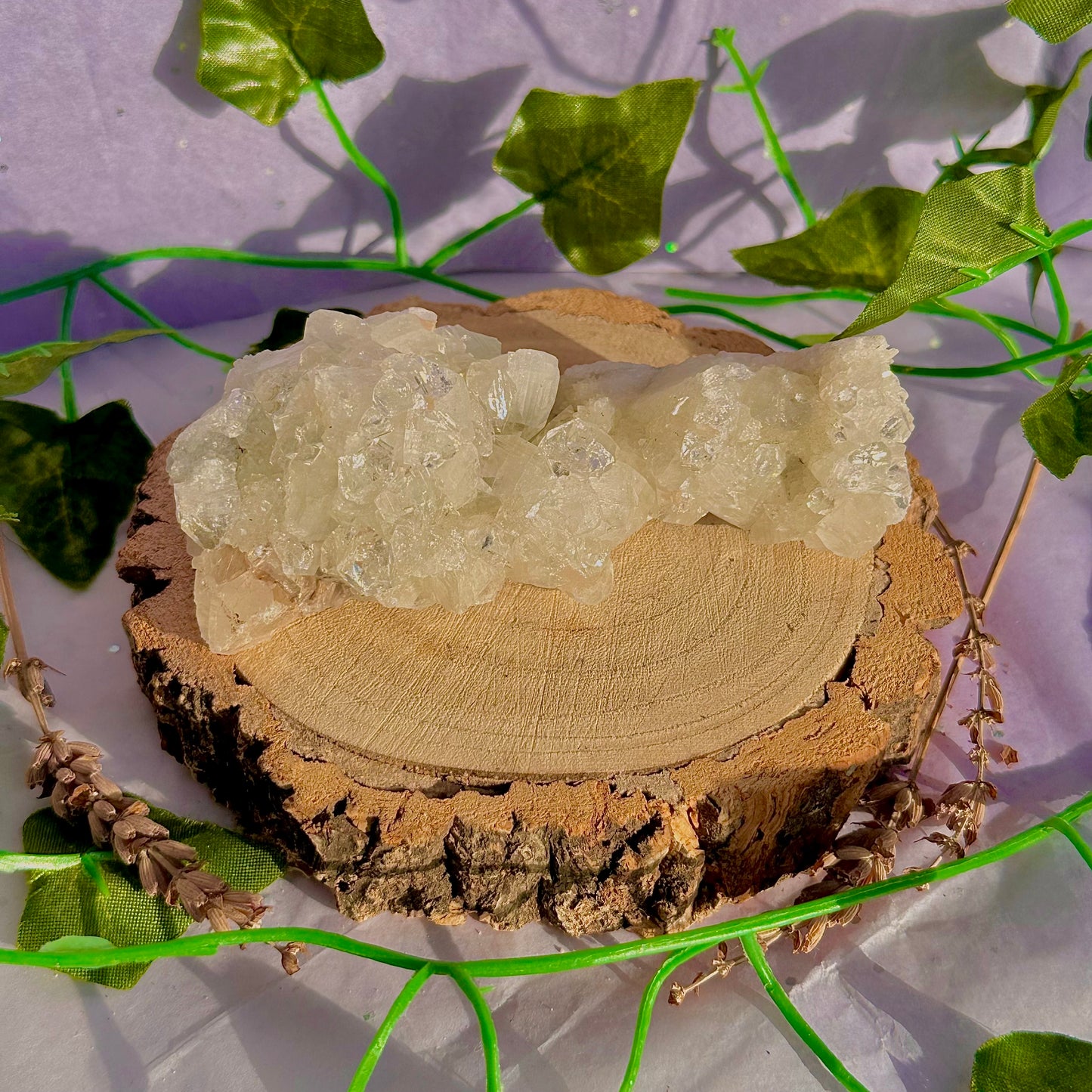 apophyllite specimen cluster