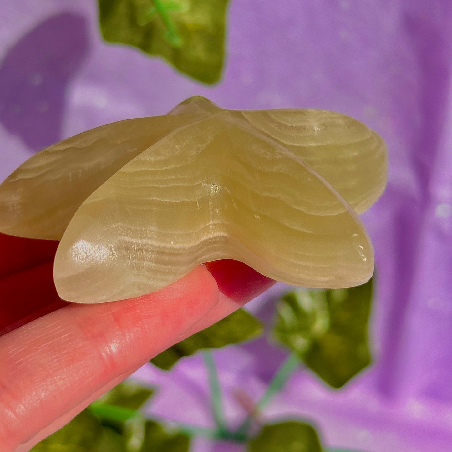 banded calcite / onyx starfish carving
