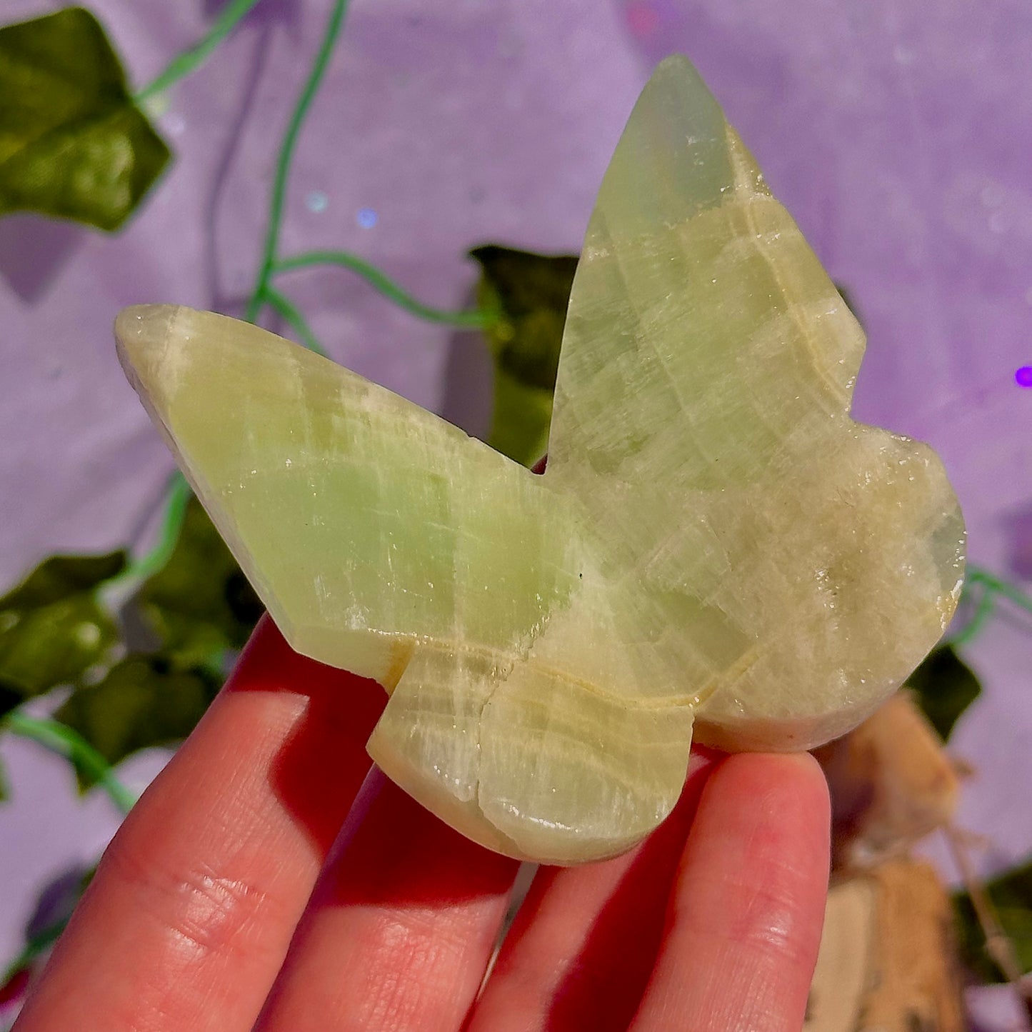 butterfly carving garden 3 ~ choose your own
