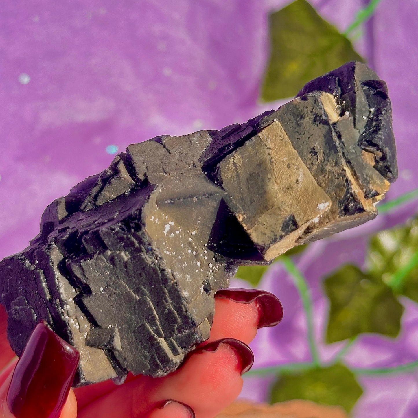 Spécimen de grappe cubique de fluorine rose noire UV