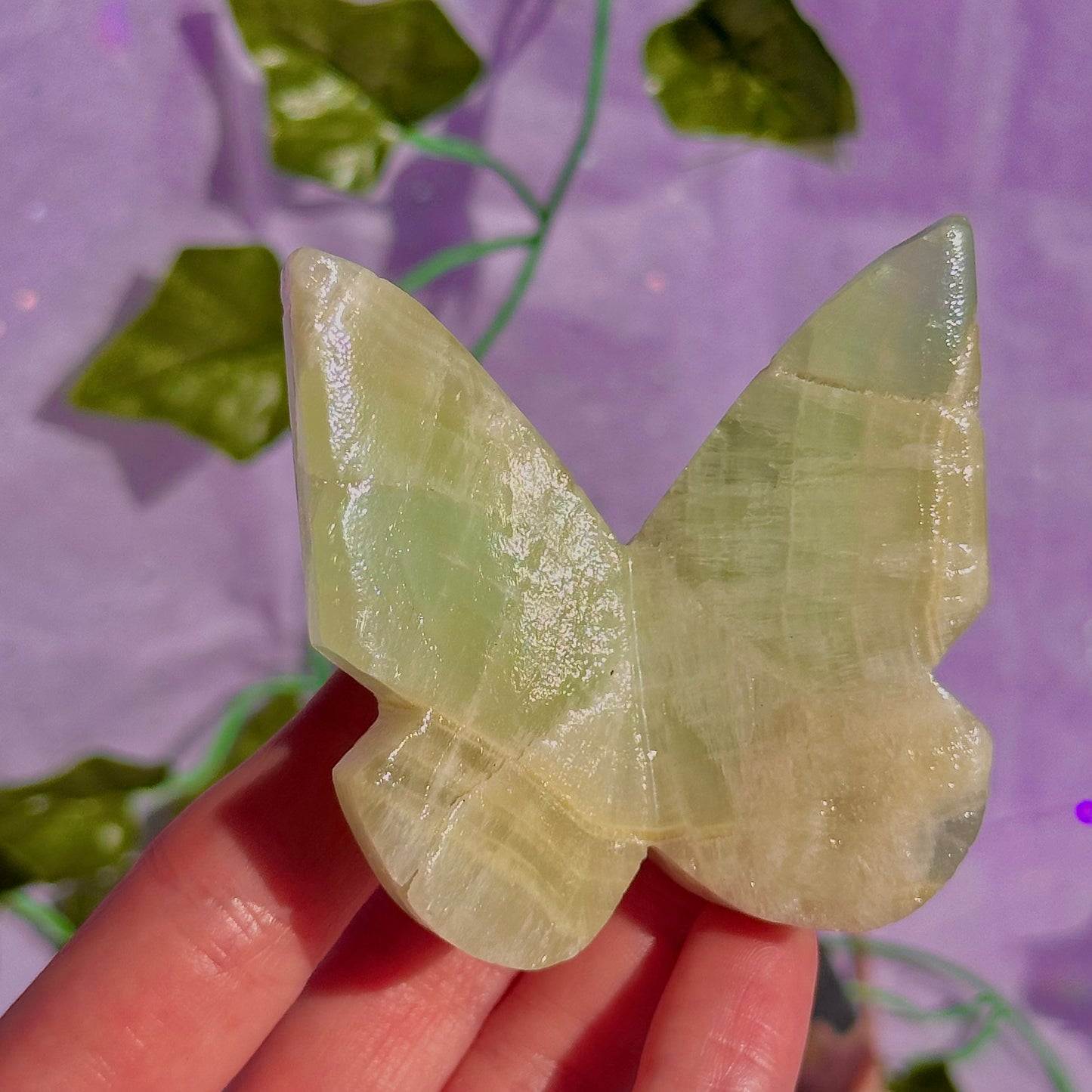 butterfly carving garden 3 ~ choose your own