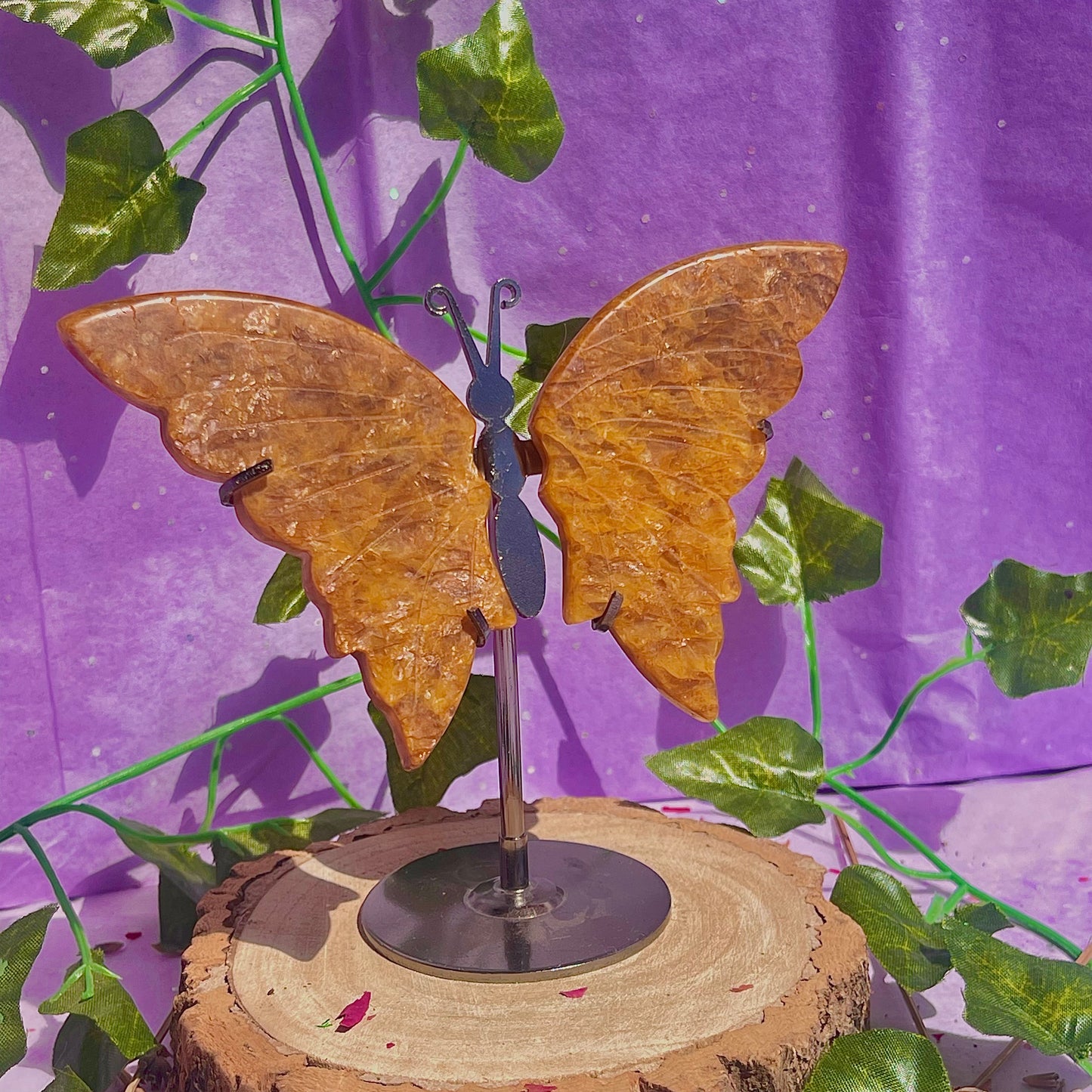 golden healer butterfly wings on stand