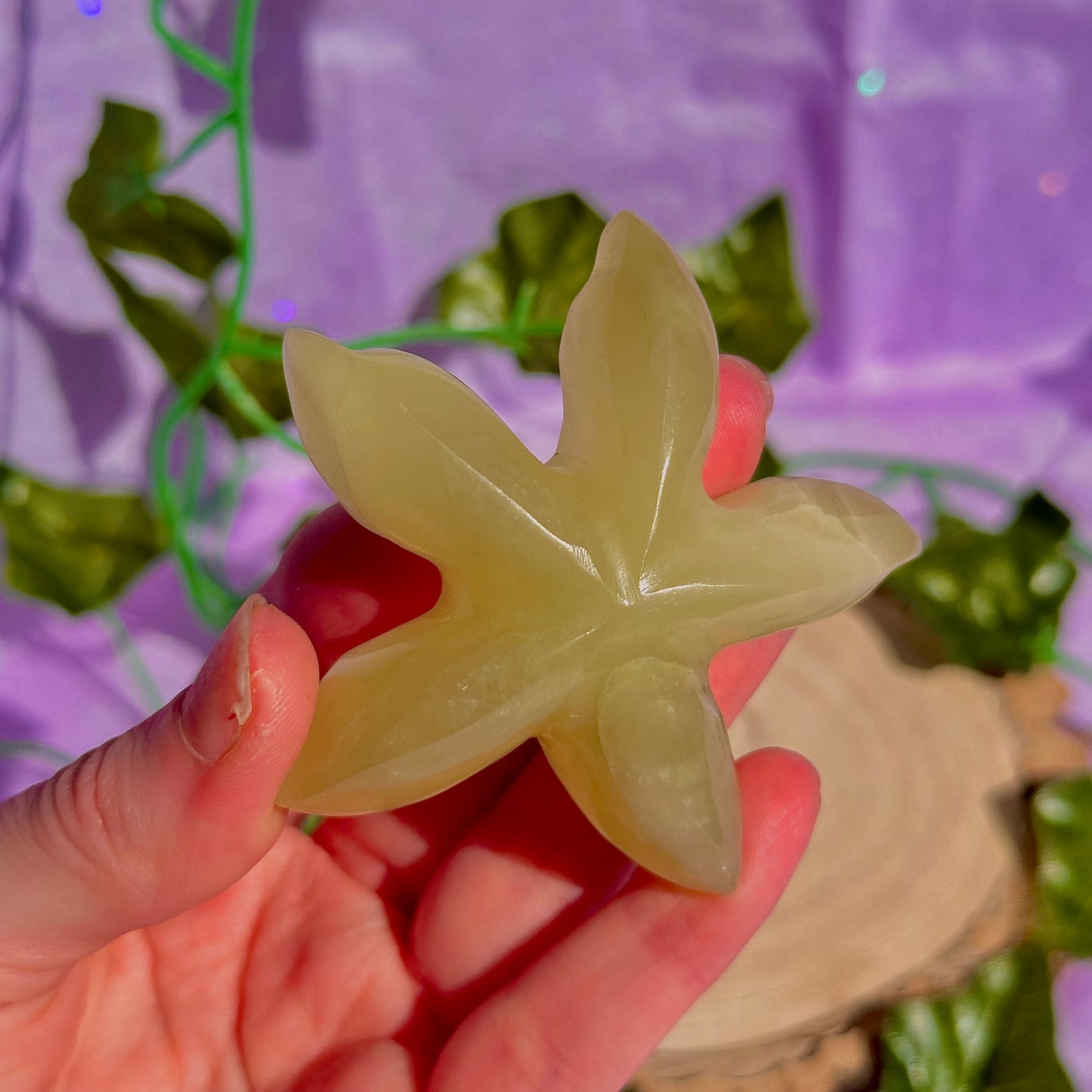 banded calcite / onyx starfish carving