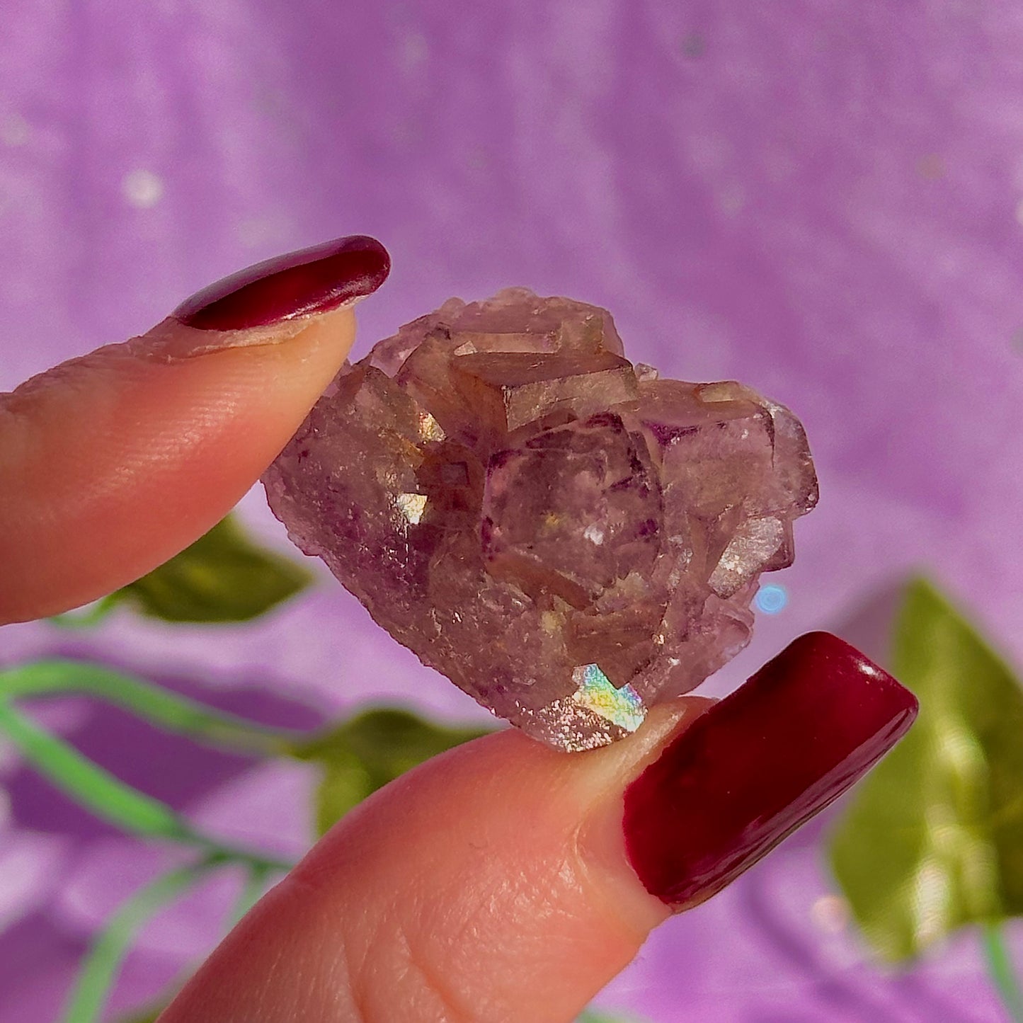 stalactitic UV cubic fluorite cluster specimen ~ choose your own