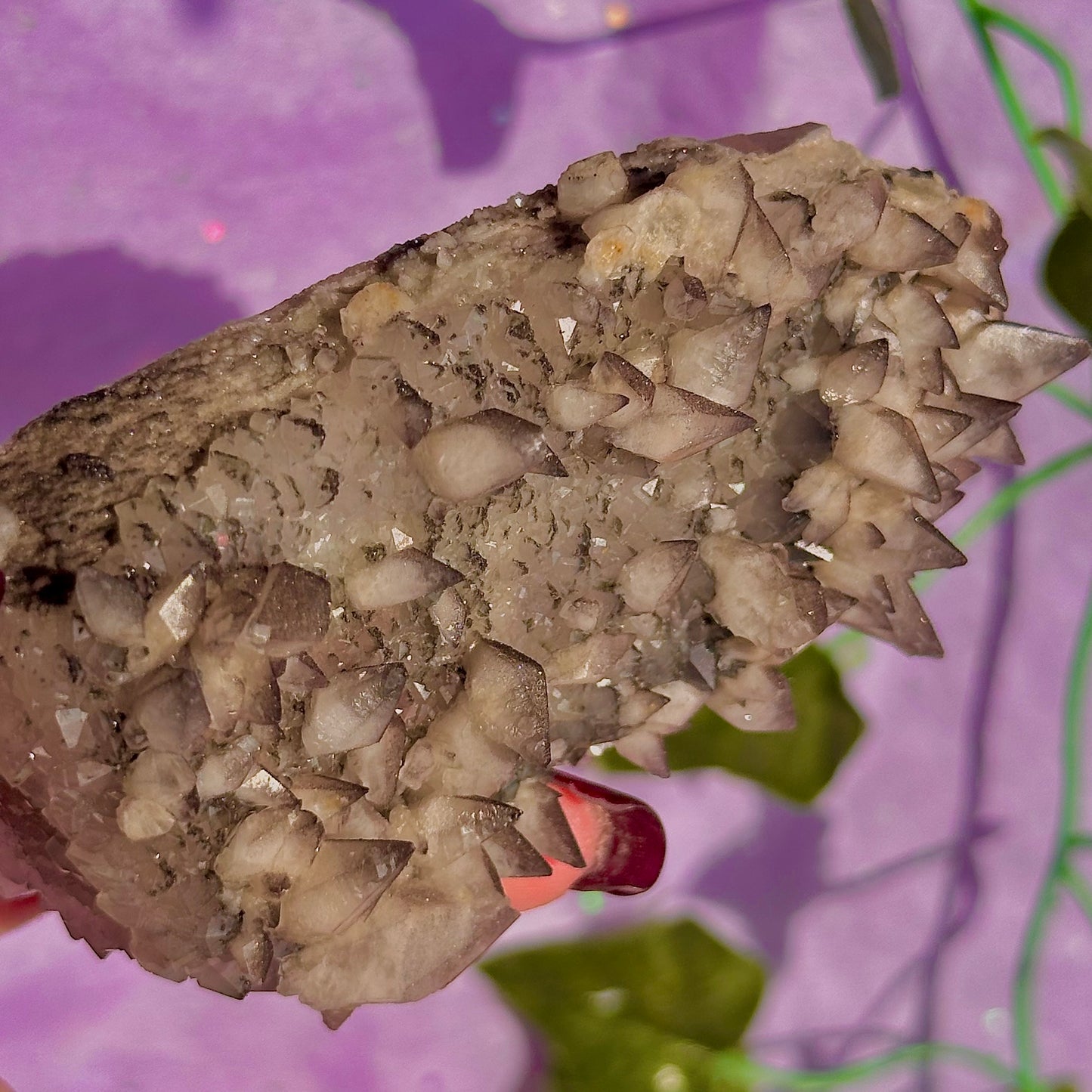 tigers tooth / dogs tooth calcite cluster specimen