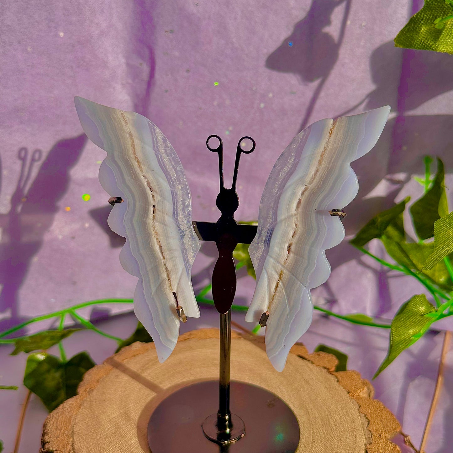 blue lace agate butterfly wings on stand A