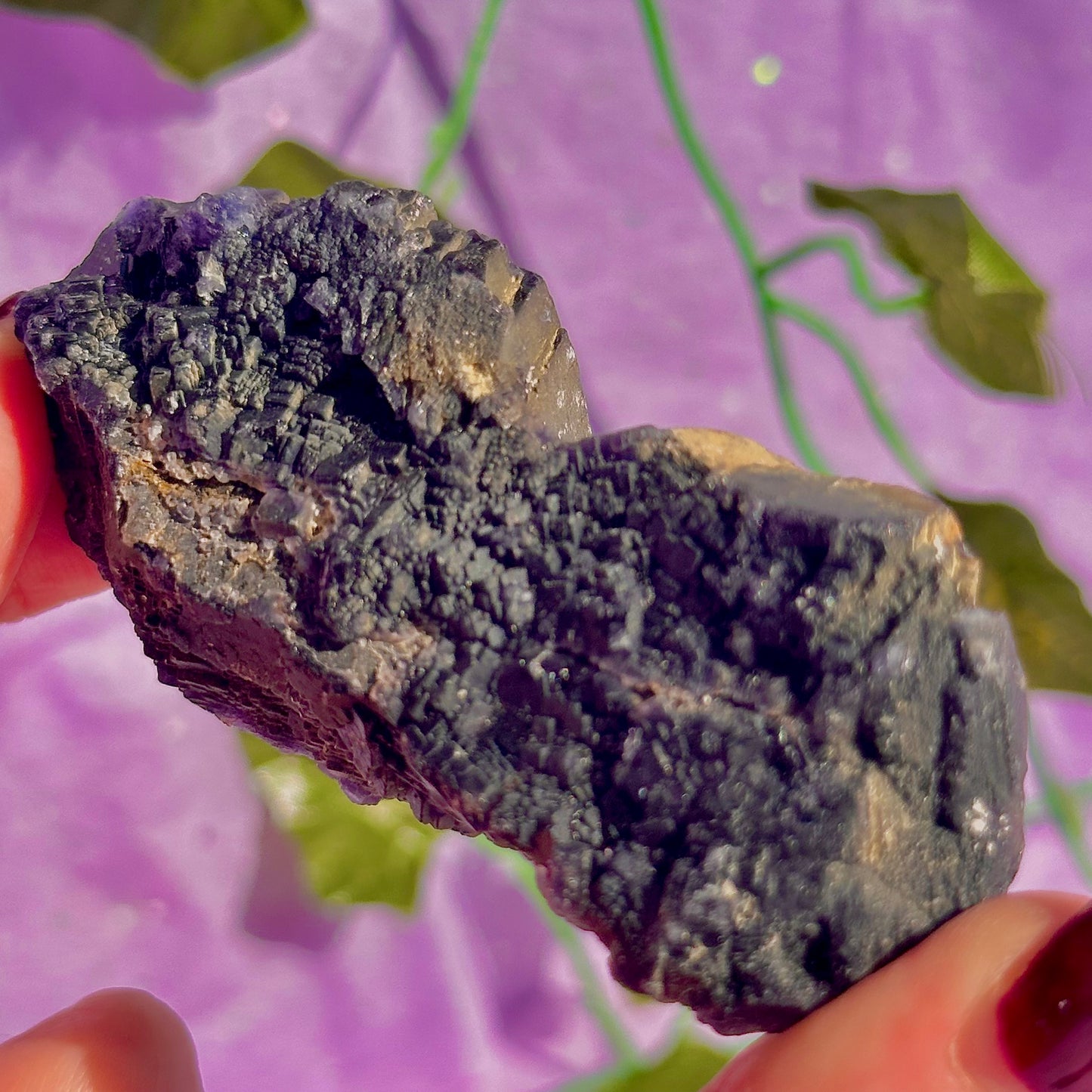 Spécimen de grappe cubique de fluorine rose noire UV
