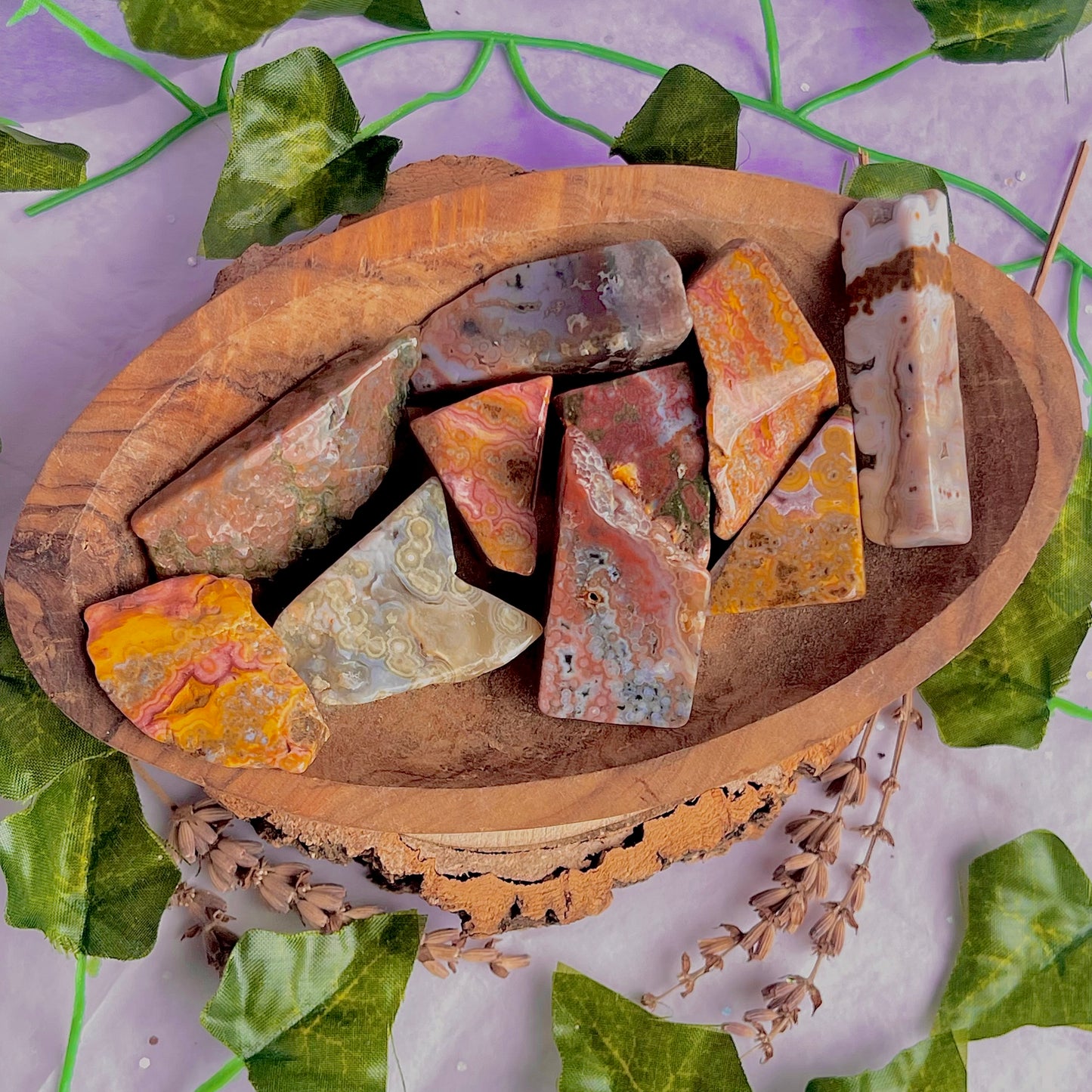 8th vein jasper freeform pieces ~ medium