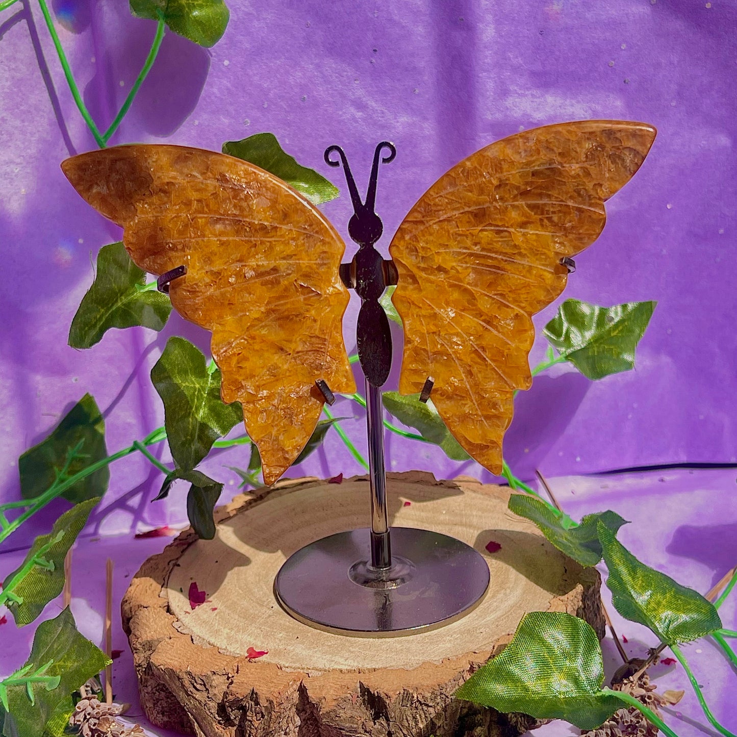 golden healer butterfly wings on stand