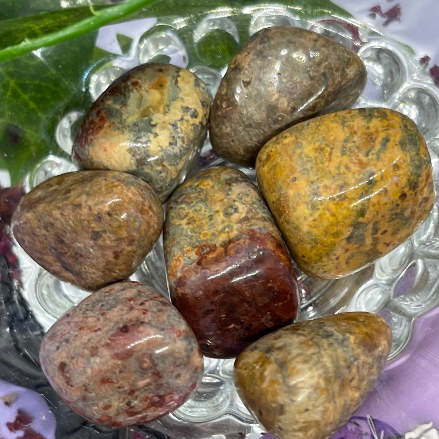 leopard skin jasper tumble