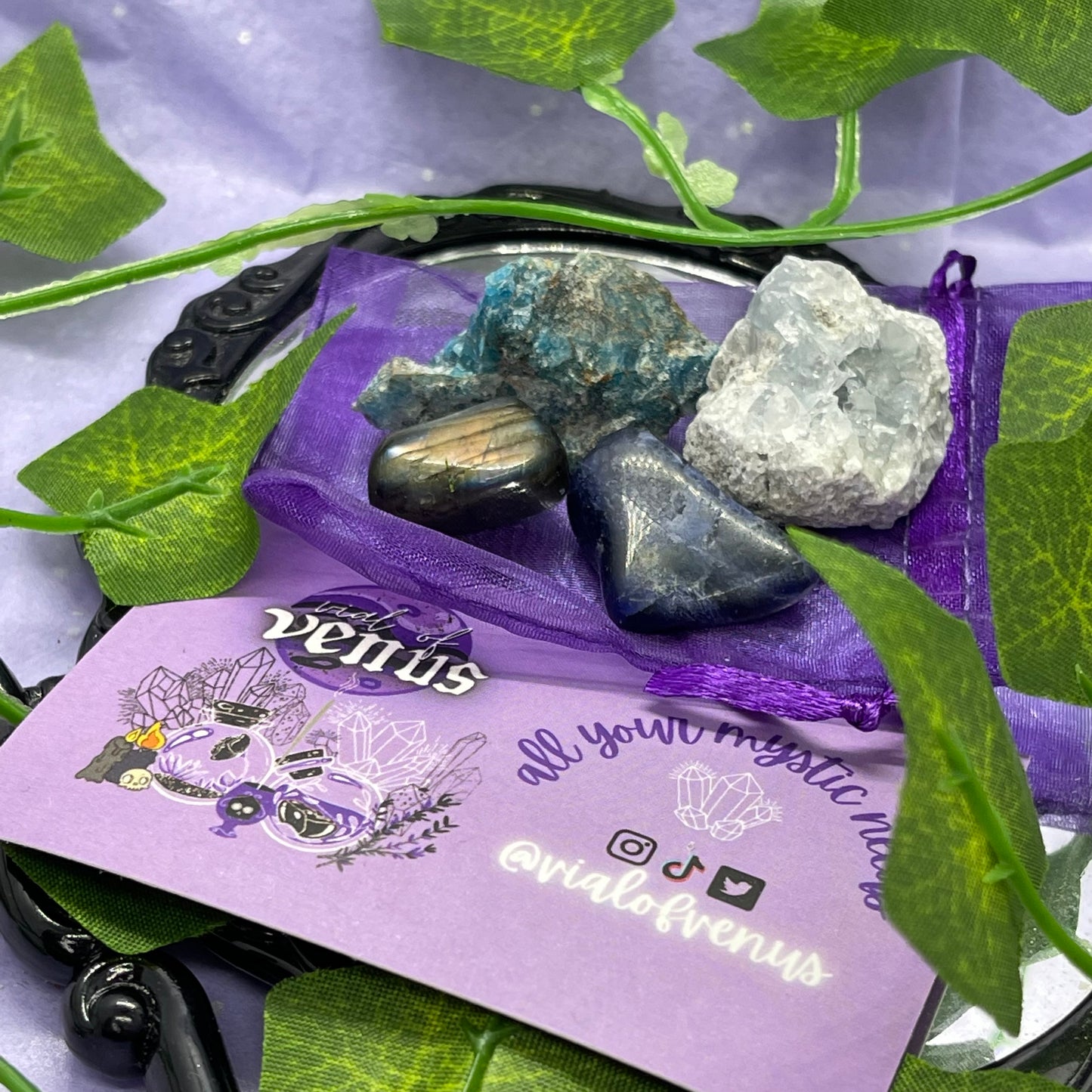 increasing intuition 101 bundle