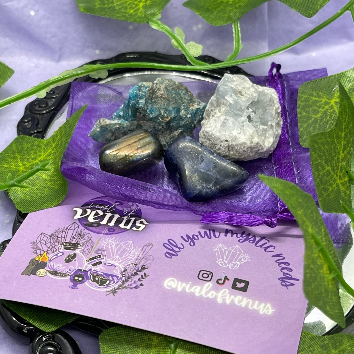 increasing intuition 101 bundle