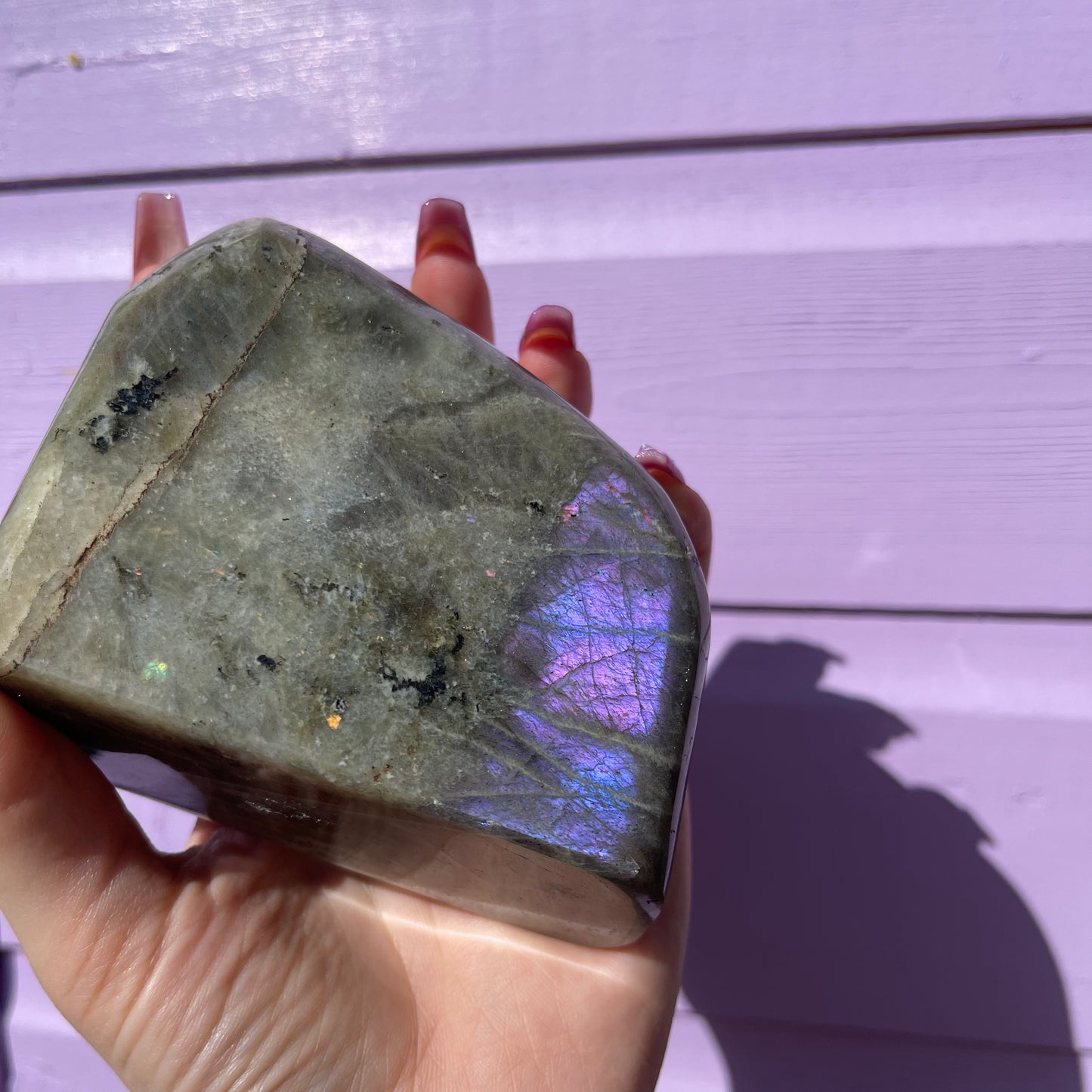 1.53LB labradorite freeform— amazing flash of all colours