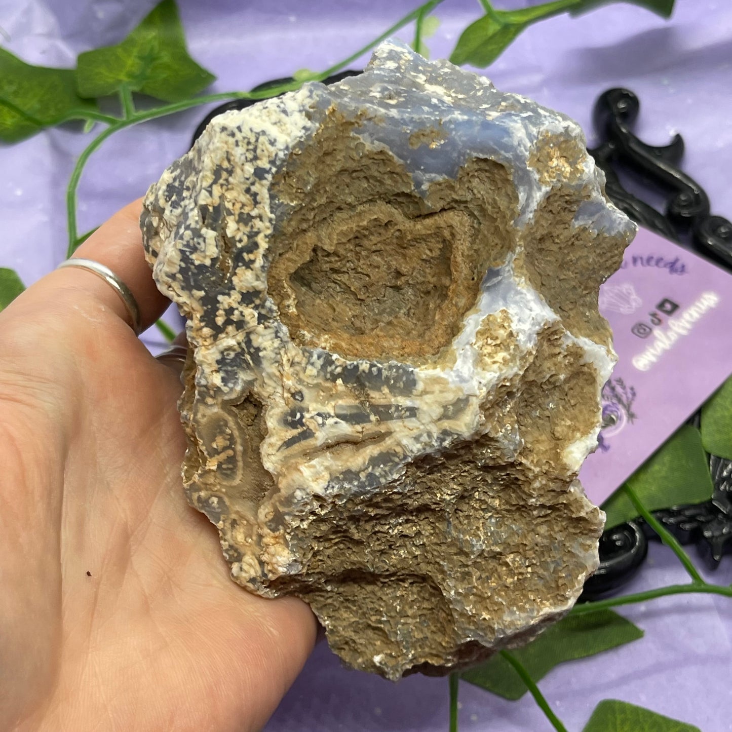XL chunks of Blue Lace Agate raw/rough